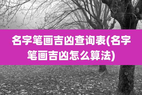 名字笔画吉凶查询表(名字笔画吉凶怎么算法)