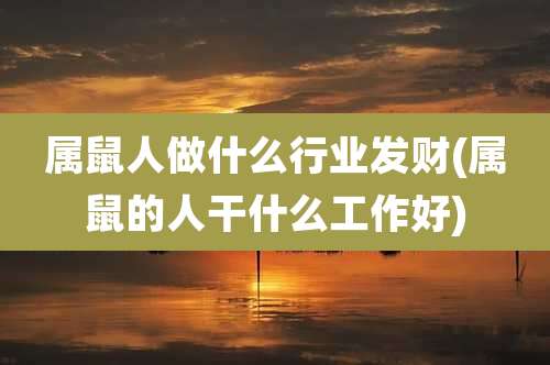 属鼠人做什么行业发财(属鼠的人干什么工作好)