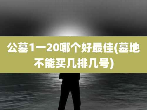 公墓1一20哪个好最佳(墓地不能买几排几号)