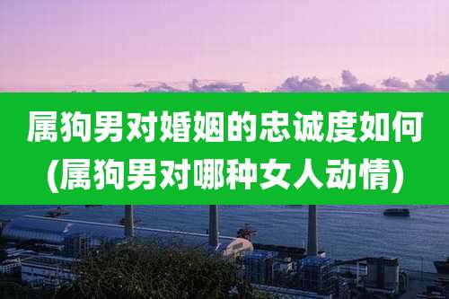 属狗男对婚姻的忠诚度如何(属狗男对哪种女人动情)