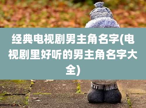 经典电视剧男主角名字(电视剧里好听的男主角名字大全)