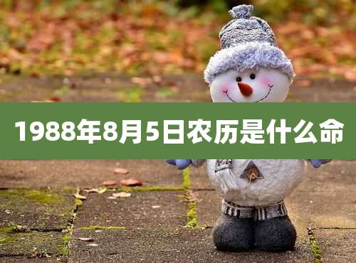 1988年8月5日农历是什么命