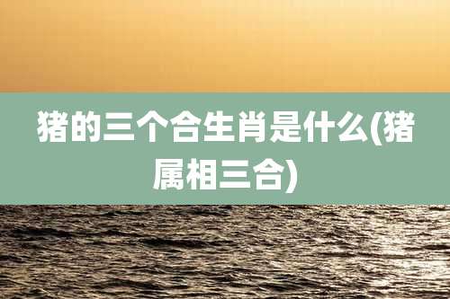 猪的三个合生肖是什么(猪属相三合)