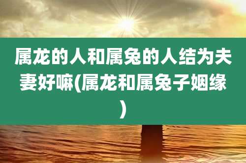 属龙的人和属兔的人结为夫妻好嘛(属龙和属兔子姻缘)