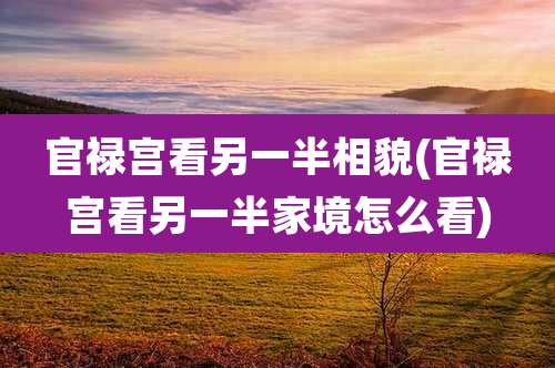 官禄宫看另一半相貌(官禄宫看另一半家境怎么看)