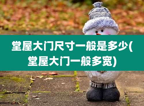 堂屋大门尺寸一般是多少(堂屋大门一般多宽)