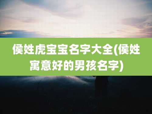 侯姓虎宝宝名字大全(侯姓寓意好的男孩名字)