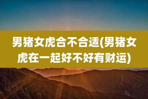 男猪女虎合不合适(男猪女虎在一起好不好有财运)