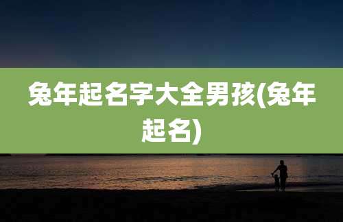 兔年起名字大全男孩(兔年起名)