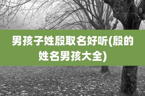 男孩子姓殷取名好听(殷的姓名男孩大全)