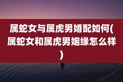 属蛇女与属虎男婚配如何(属蛇女和属虎男姻缘怎么样)