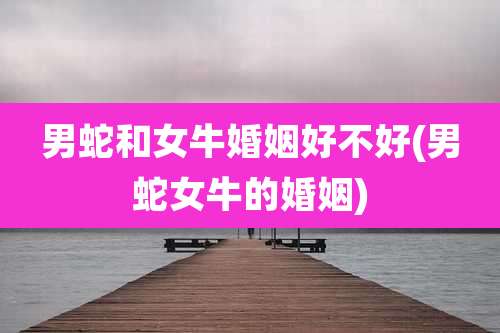 男蛇和女牛婚姻好不好(男蛇女牛的婚姻)