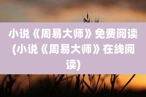 小说《周易大师》免费阅读(小说《周易大师》在线阅读)