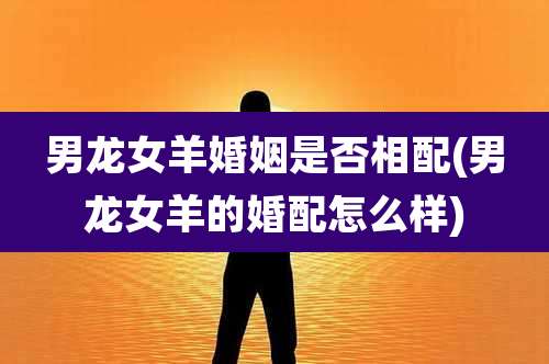 男龙女羊婚姻是否相配(男龙女羊的婚配怎么样)