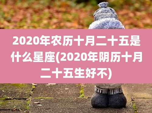 2020年农历十月二十五是什么星座(2020年阴历十月二十五生好不)