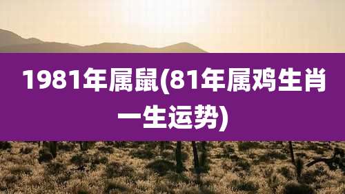 1981年属鼠(81年属鸡生肖一生运势)