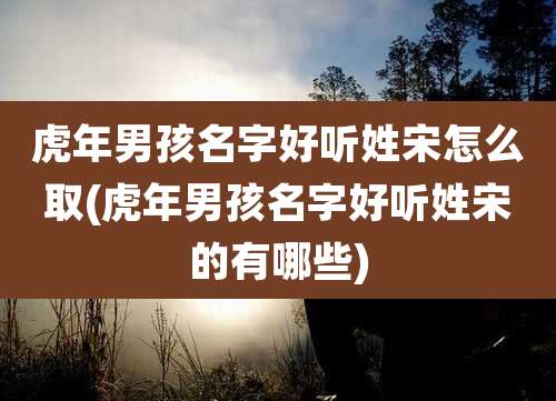虎年男孩名字好听姓宋怎么取(虎年男孩名字好听姓宋的有哪些)