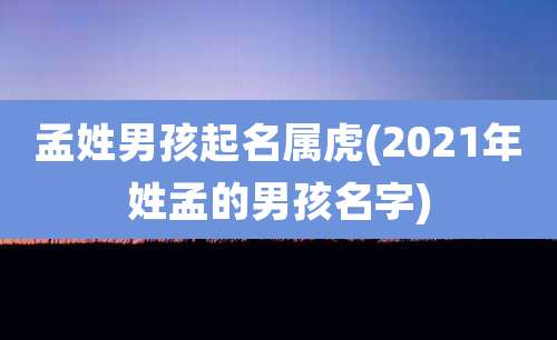 孟姓男孩起名属虎(2021年姓孟的男孩名字)