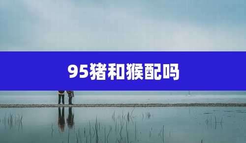 95猪和猴配吗