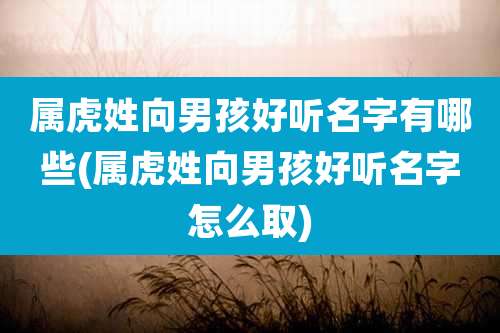 属虎姓向男孩好听名字有哪些(属虎姓向男孩好听名字怎么取)