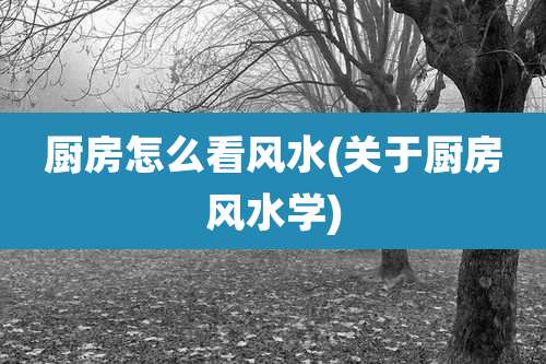 厨房怎么看风水(关于厨房风水学)