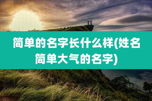 简单的名字长什么样(姓名简单大气的名字)