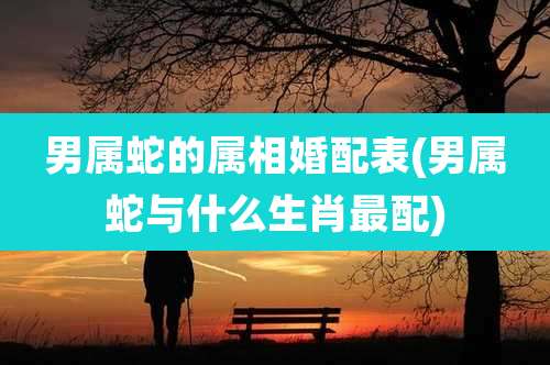 男属蛇的属相婚配表(男属蛇与什么生肖最配)