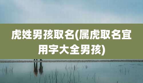 虎姓男孩取名(属虎取名宜用字大全男孩)