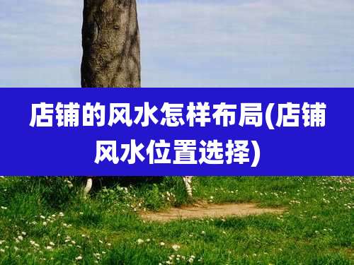 店铺的风水怎样布局(店铺风水位置选择)
