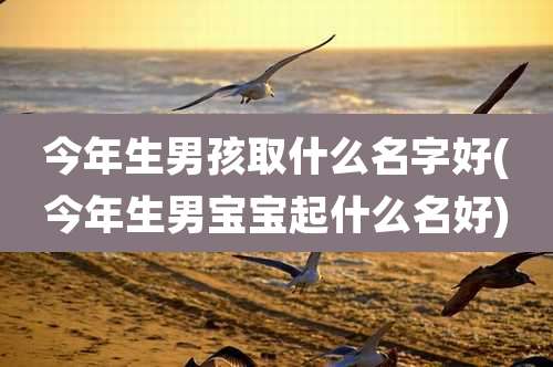 今年生男孩取什么名字好(今年生男宝宝起什么名好)
