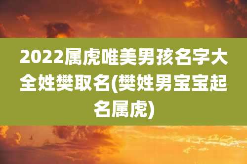 2022属虎唯美男孩名字大全姓樊取名(樊姓男宝宝起名属虎)