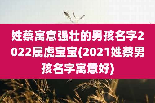 姓蔡寓意强壮的男孩名字2022属虎宝宝(2021姓蔡男孩名字寓意好)