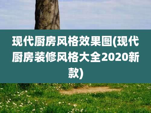 现代厨房风格效果图(现代厨房装修风格大全2020新款)