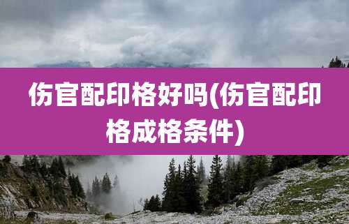 伤官配印格好吗(伤官配印格成格条件)