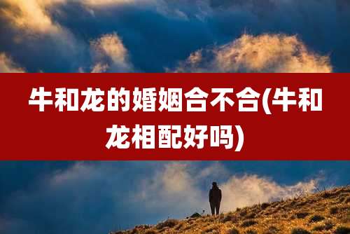 牛和龙的婚姻合不合(牛和龙相配好吗)