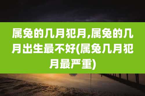 属兔的几月犯月,属兔的几月出生最不好(属兔几月犯月最严重)