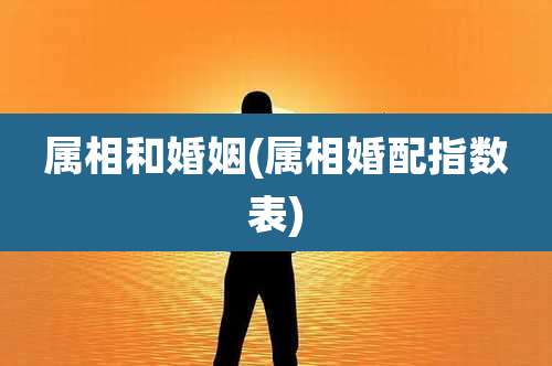 属相和婚姻(属相婚配指数表)