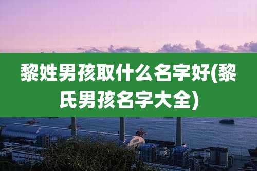 黎姓男孩取什么名字好(黎氏男孩名字大全)