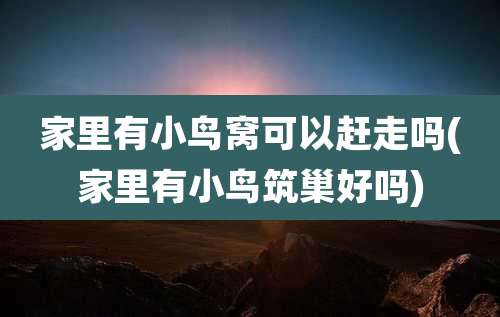 家里有小鸟窝可以赶走吗(家里有小鸟筑巢好吗)