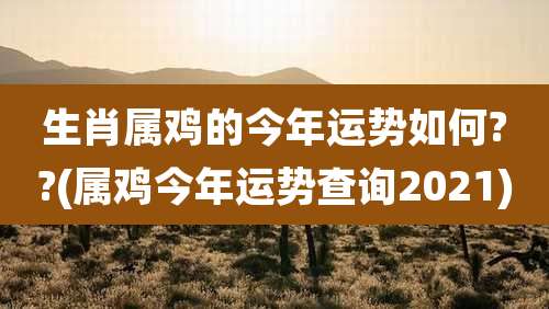 生肖属鸡的今年运势如何??(属鸡今年运势查询2021)