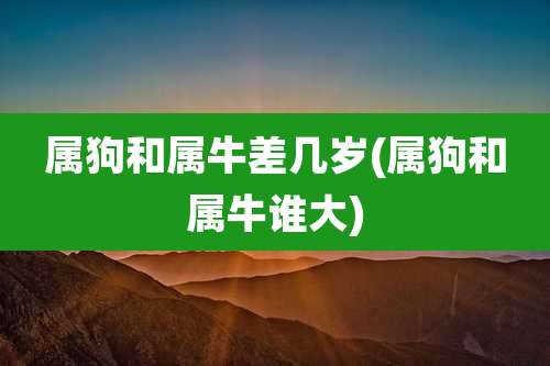 属狗和属牛差几岁(属狗和属牛谁大)