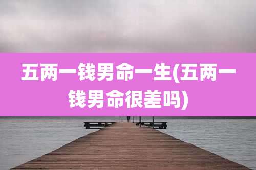 五两一钱男命一生(五两一钱男命很差吗)