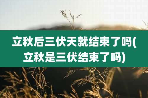 立秋后三伏天就结束了吗(立秋是三伏结束了吗)