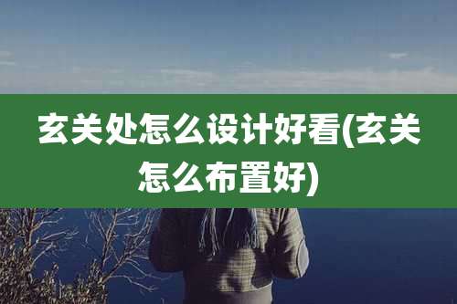 玄关处怎么设计好看(玄关怎么布置好)