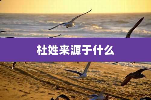 杜姓来源于什么