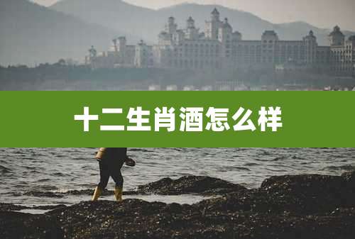 十二生肖酒怎么样