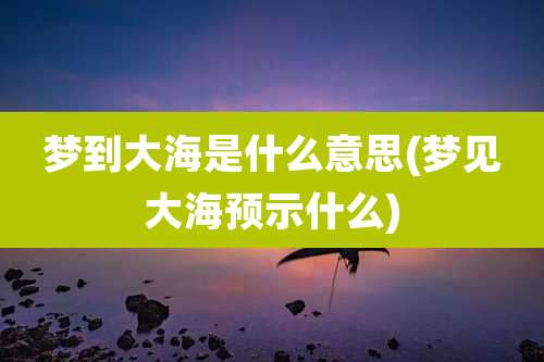 梦到大海是什么意思(梦见大海预示什么)