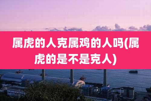 属虎的人克属鸡的人吗(属虎的是不是克人)