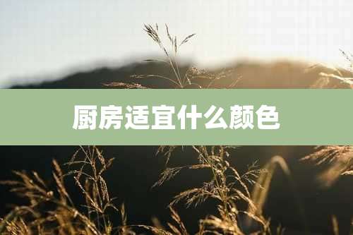 厨房适宜什么颜色