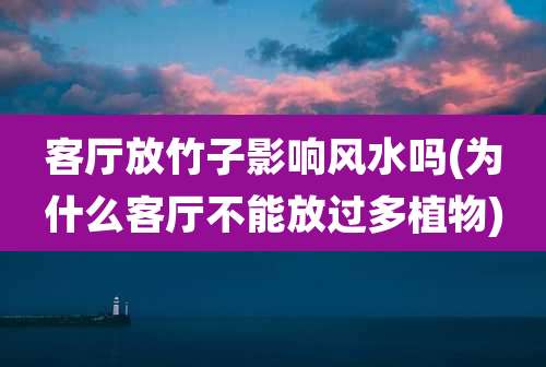 客厅放竹子影响风水吗(为什么客厅不能放过多植物)